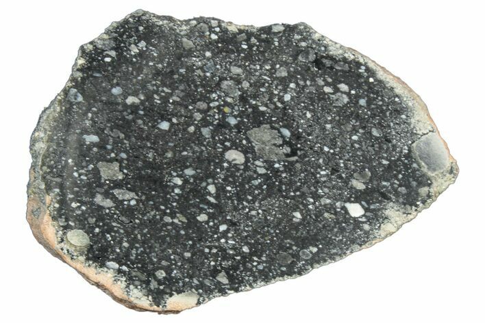 Polished Lunar Meteorite Slice ( g) - NWA #304039